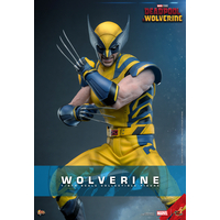 Marvel Wolverine (from Deadpool & Wolverine movie) REGULAR VERSION 1:6 Scale Figure Hot Toys 913487