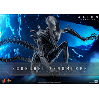 Alien Scorched Xenomorph Figurine Échelle 1:6 Hot Toys MMS784 913989