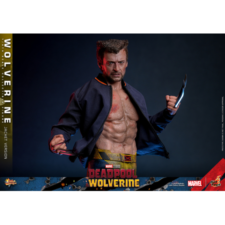 Marvel Wolverine (from Deadpool & Wolverine movie) 1:6 TVA JACKET VERSION Scale Figure Hot Toys 913607 MMS756