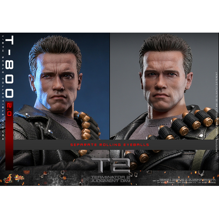 Terminator 2: Judgment Day T-800 (2_0) 1:6 Scale Figure Hot Toys MMS795 913842