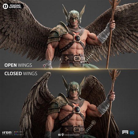 DC Hawkman (10e Anniversaire) Statue Échelle 1:10 Iron Studios (DCCDCG114524-10) 913933