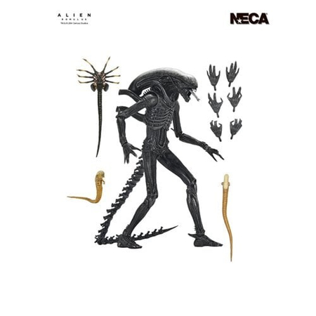 Alien: Romulus Ultimate Xenomorph XX121 7-Inch Scale Action Figure NECA 51742