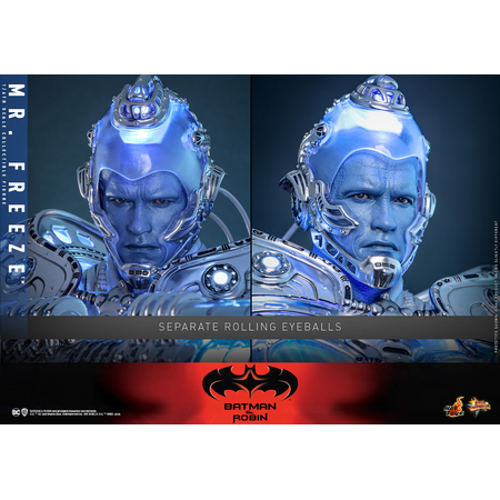 DC Mr Freeze Collector Edition 1:6 Scale Figure Hot Toys MMS799 914279